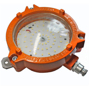 Светильник взрывозащищенный светодиодный ДБП 09-20-001 УХЛ1 ОМ1 (ПЛАФОН ВС)